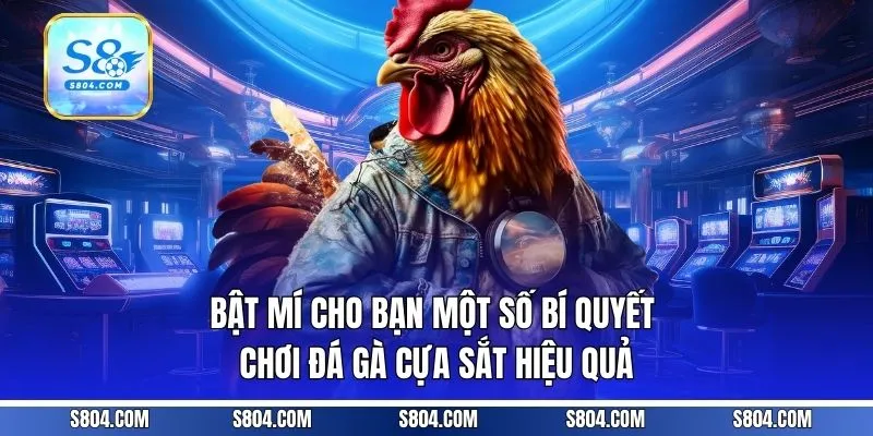 Bật mí cho bạn một số bí quyết chơi đá gà cựa sắt hiệu quả