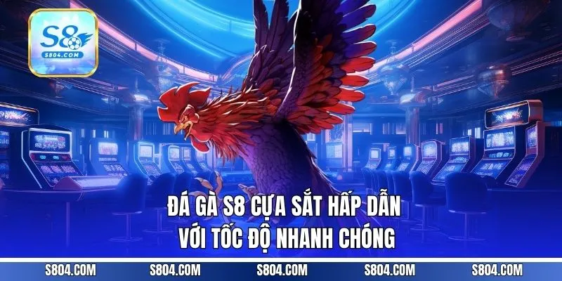 Đá gà S8 cựa sắt hấp dẫn với tốc độ nhanh chóng