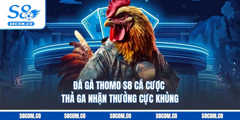 Đá Gà Thomo S8 - Cá Cược Thả Ga, Nhận Thưởng Cực Khủng Đá Gà Thomo S8 - Cá Cược Thả Ga, Nhận Thưởng Cực Khủng