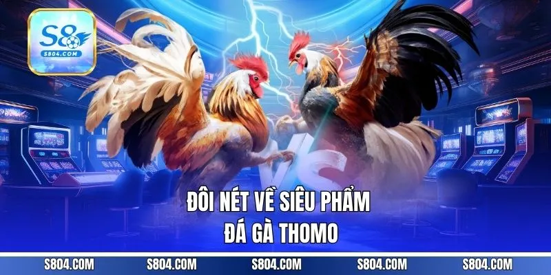 Đôi nét về siêu phẩm đá gà thomo