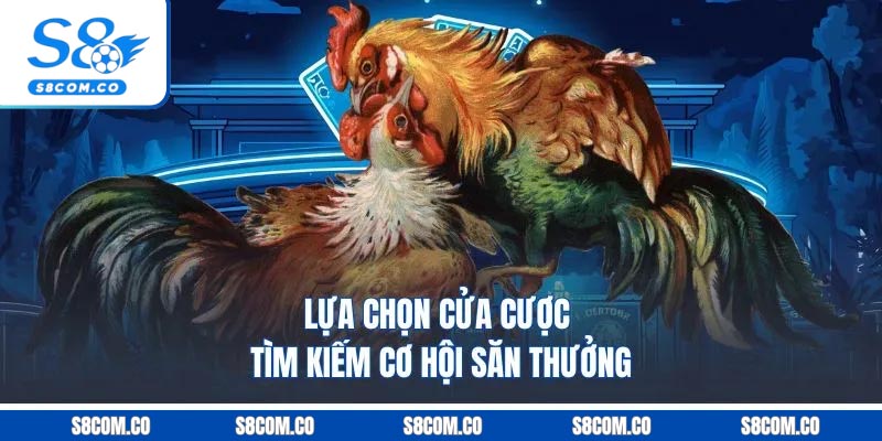 Đá Gà Cựa Sắt | A Đến Z Thông Tin Giới Thiệu Cho Tân Thủ Lựa chọn cửa cược tìm kiếm cơ hội săn thưởng