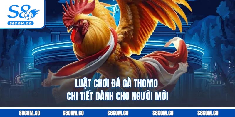Đá Gà Thomo S8 - Cá Cược Thả Ga, Nhận Thưởng Cực Khủng Luật chơi đá gà Thomo chi tiết dành cho người mới