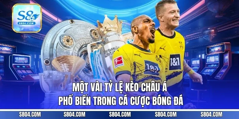 Một vài tỷ lệ kèo châu Á phổ biến trong cá cược bóng đá