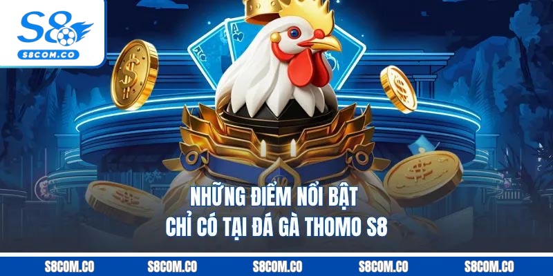 Đá Gà Thomo S8 - Cá Cược Thả Ga, Nhận Thưởng Cực Khủng Những điểm nổi bật chỉ có tại đá gà Thomo S8