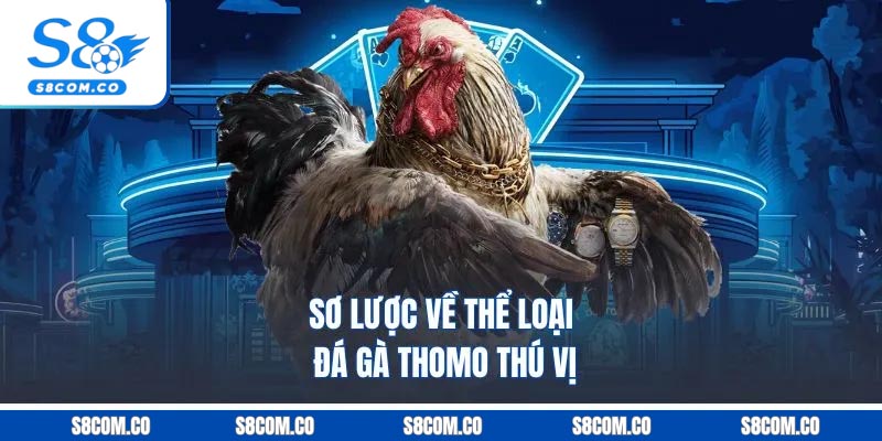 Đá Gà Thomo S8 - Cá Cược Thả Ga, Nhận Thưởng Cực Khủng Sơ lược về thể loại đá gà Thomo thú vị