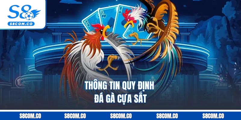 Đá Gà Cựa Sắt | A Đến Z Thông Tin Giới Thiệu Cho Tân Thủ Thông tin quy định đá gà cựa sắt